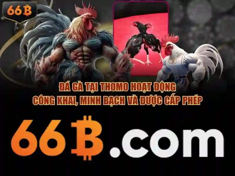 Kiến trúc và cách hoạt động