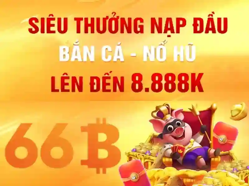 Khái niệm cơ bản về 66B