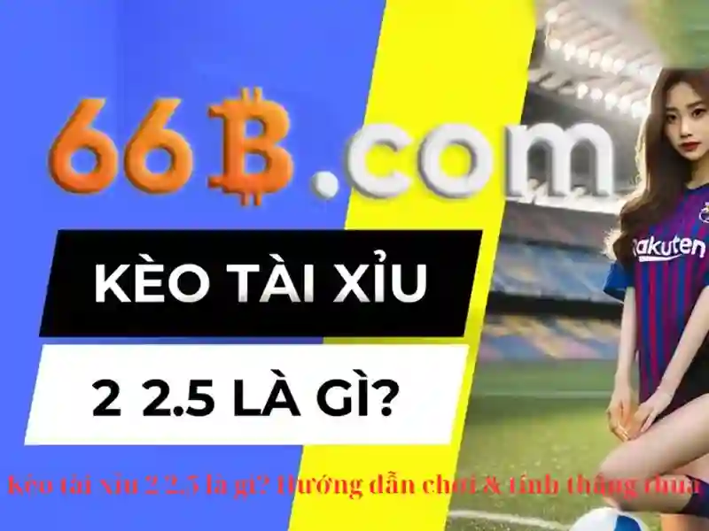 66B: Mô hình ngôn ngữ lớn 66 tỷ tham số
