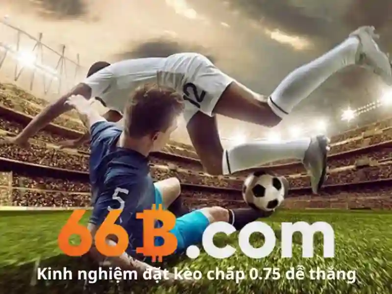 66B là gì? Khái niệm và cách chọn áo ngực phù hợp