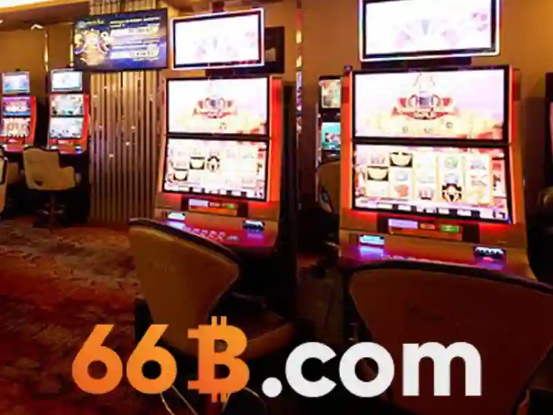 66B là gì?