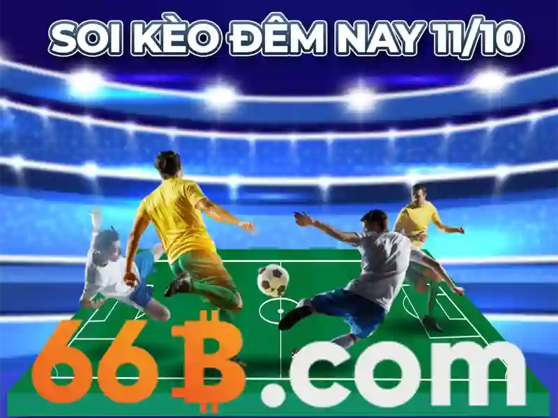 66b: Khía cạnh và ý nghĩa