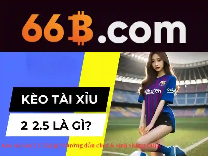 66 tỷ tham số: Khái niệm và ảnh hưởng của mô hình ngôn ngữ lớn
