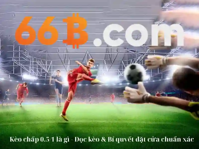 Khái niệm và tiềm năng của mô hình 66B